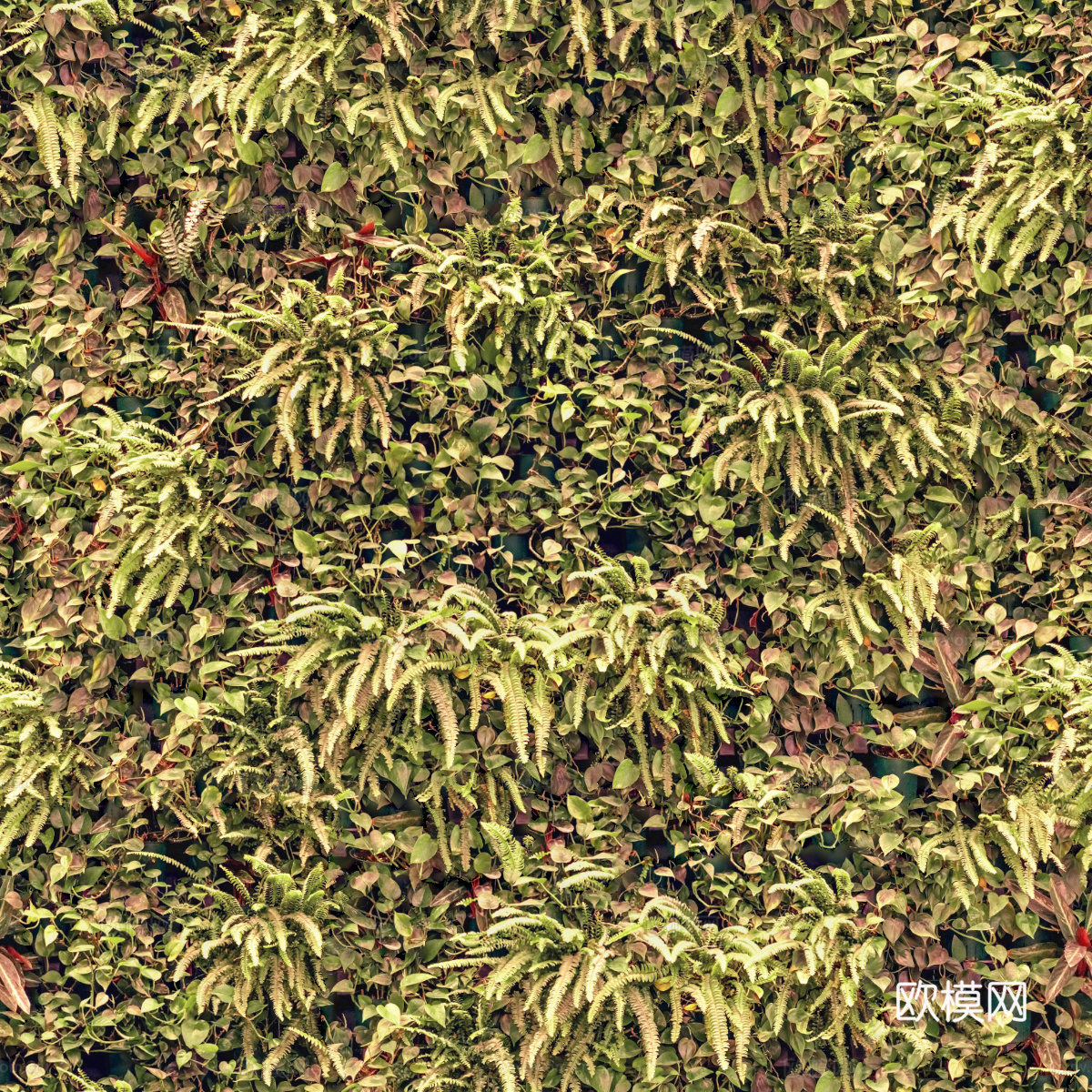 垂直绿植墙，生态绿植墙绿化墙187