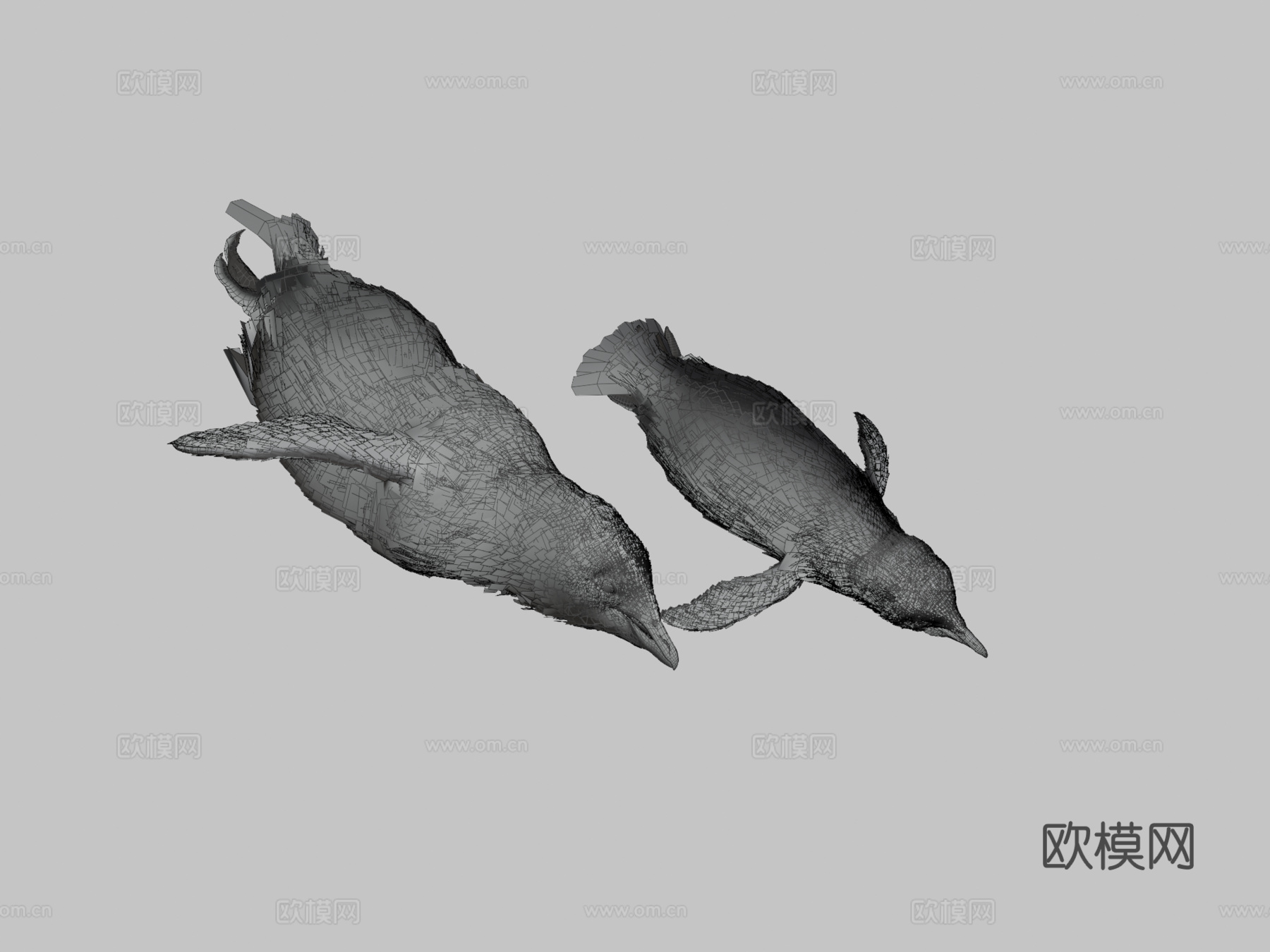 南极企鹅水下3d模型下载（渲染图3）