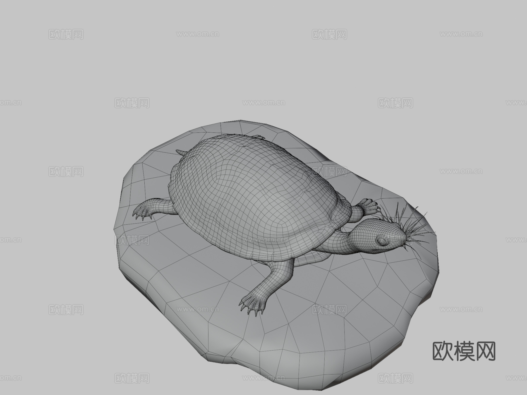 陆龟3d模型下载（渲染图3）