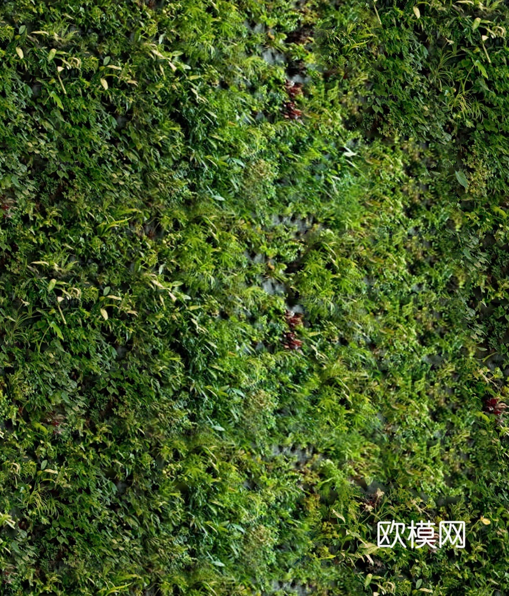 垂直绿植墙，生态绿植墙绿化墙7下载