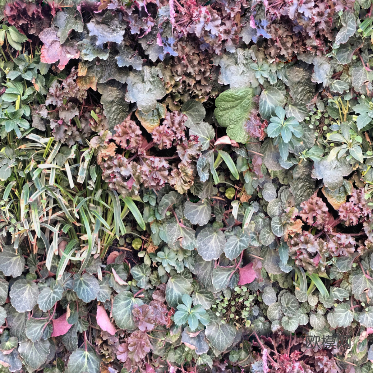 垂直绿植墙，生态绿植墙绿化墙80下载