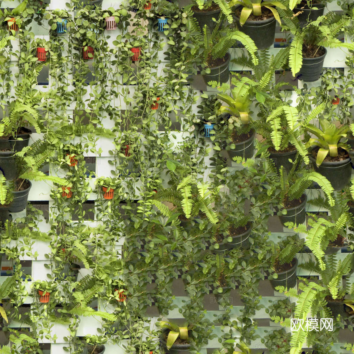 垂直绿植墙，生态绿植墙绿化墙103