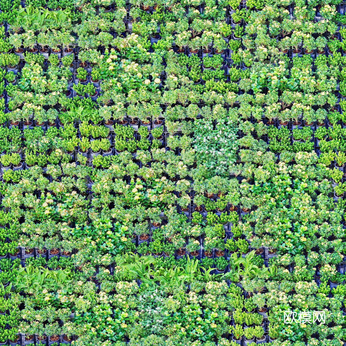 垂直绿植墙，生态绿植墙绿化墙192下载