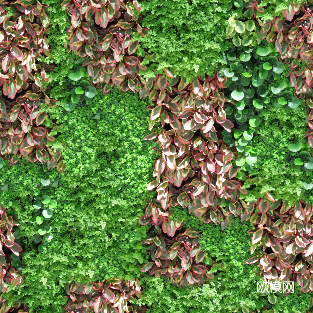 垂直绿植墙，生态绿植墙绿化墙63下载