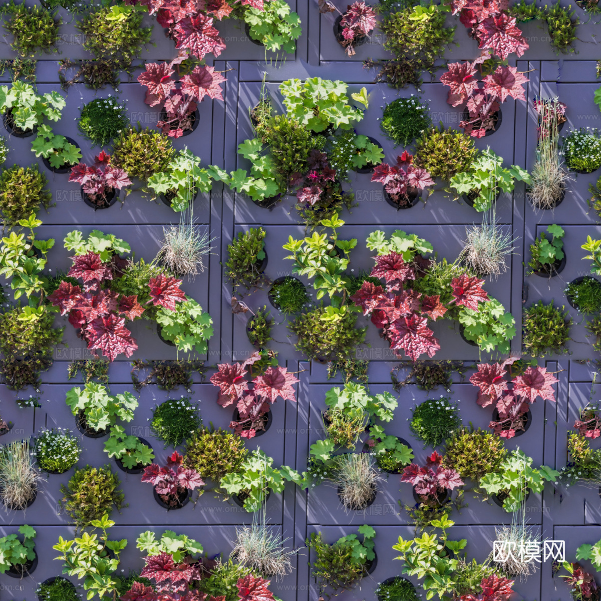 垂直绿植墙，生态绿植墙绿化墙232下载