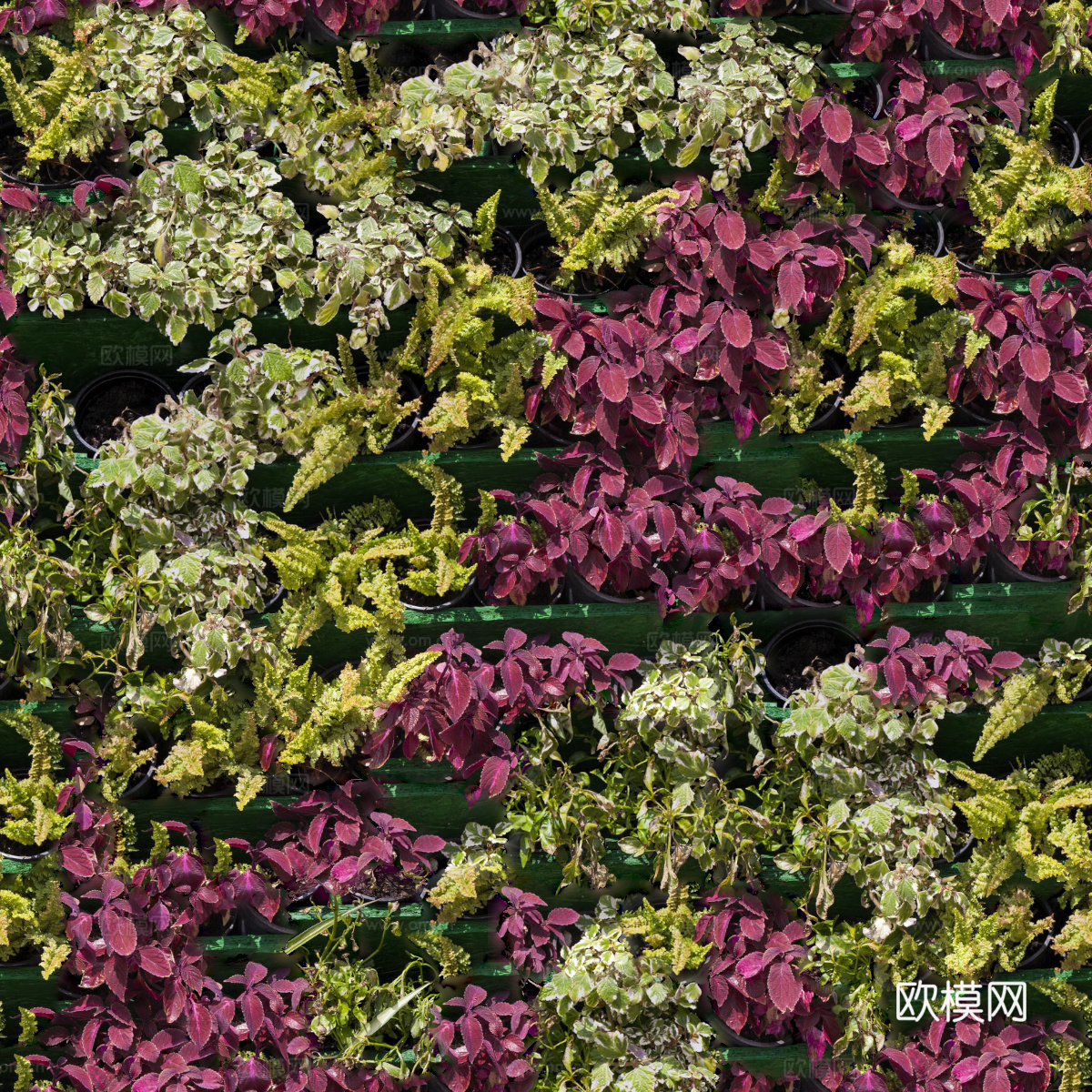 垂直绿植墙，生态绿植墙绿化墙199下载