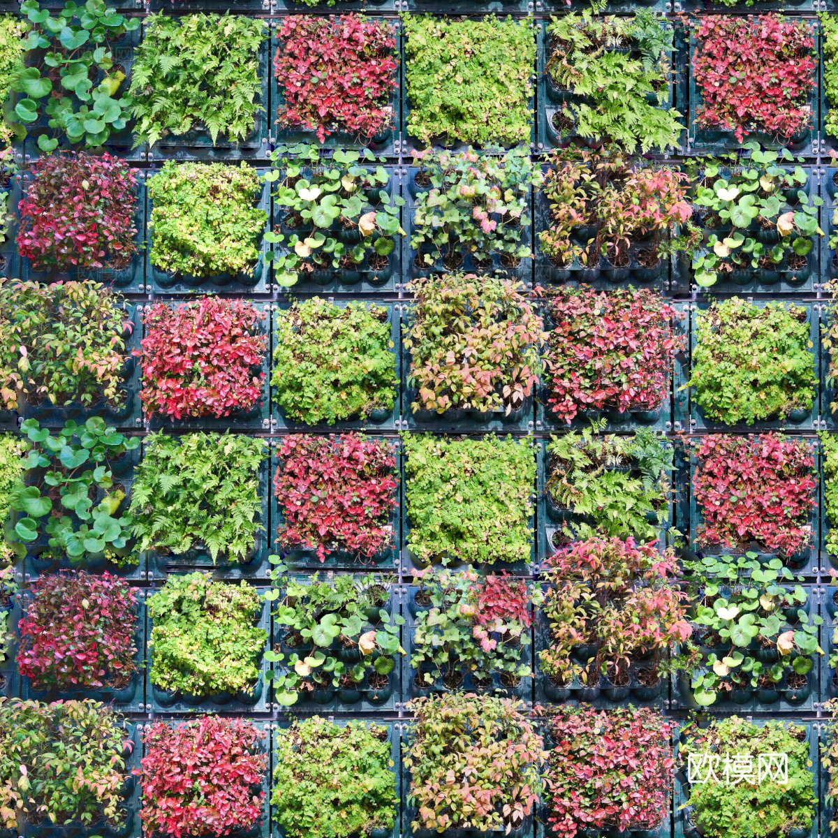 垂直绿植墙，生态绿植墙绿化墙249下载