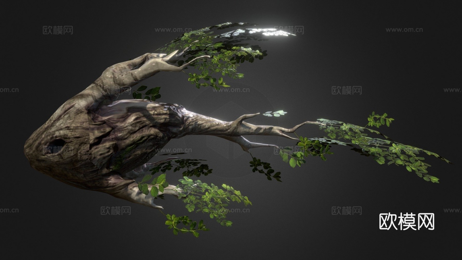 森林鱼3d模型下载（渲染图1）