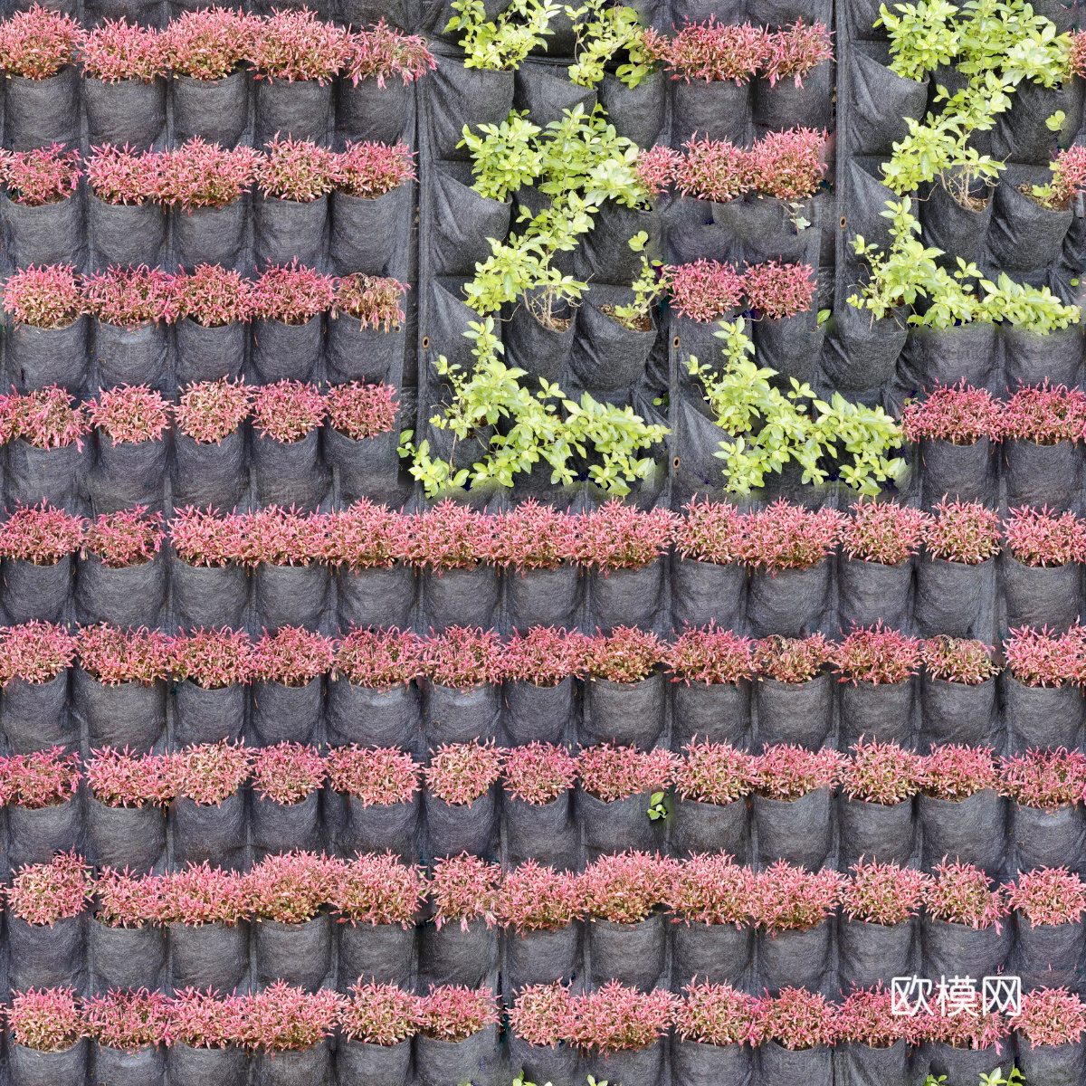 垂直绿植墙，生态绿植墙绿化墙151