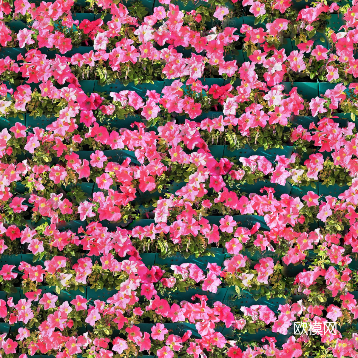 垂直绿植墙，生态绿植墙绿化墙166