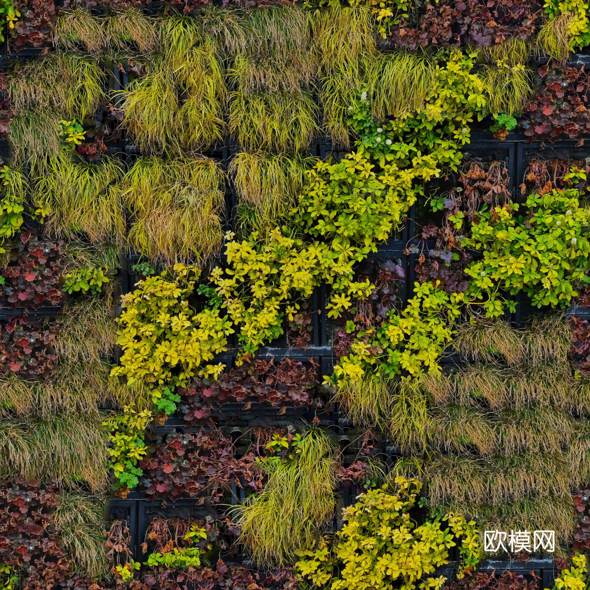 垂直绿植墙，生态绿植墙绿化墙201下载