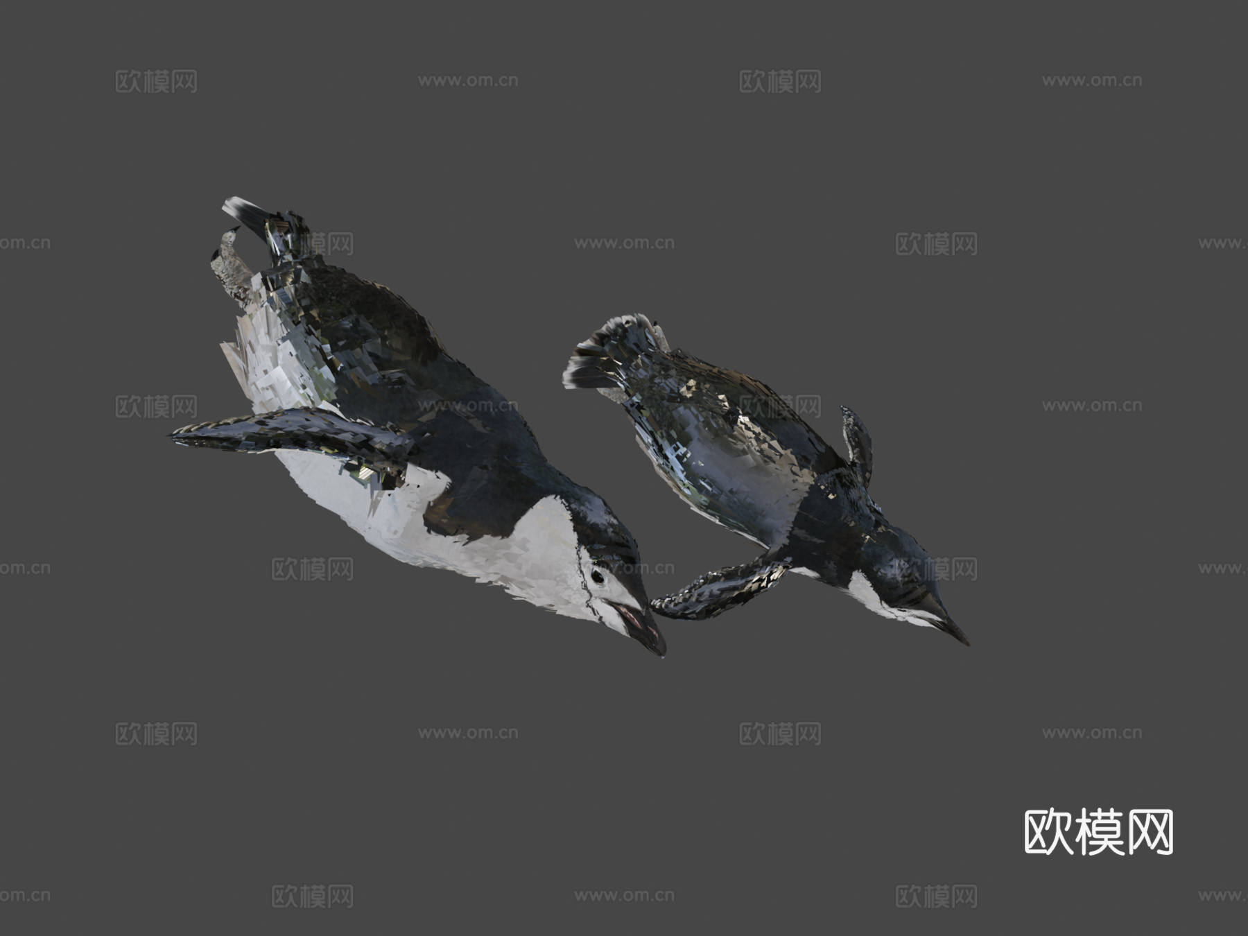 南极企鹅水下3d模型下载（渲染图8）