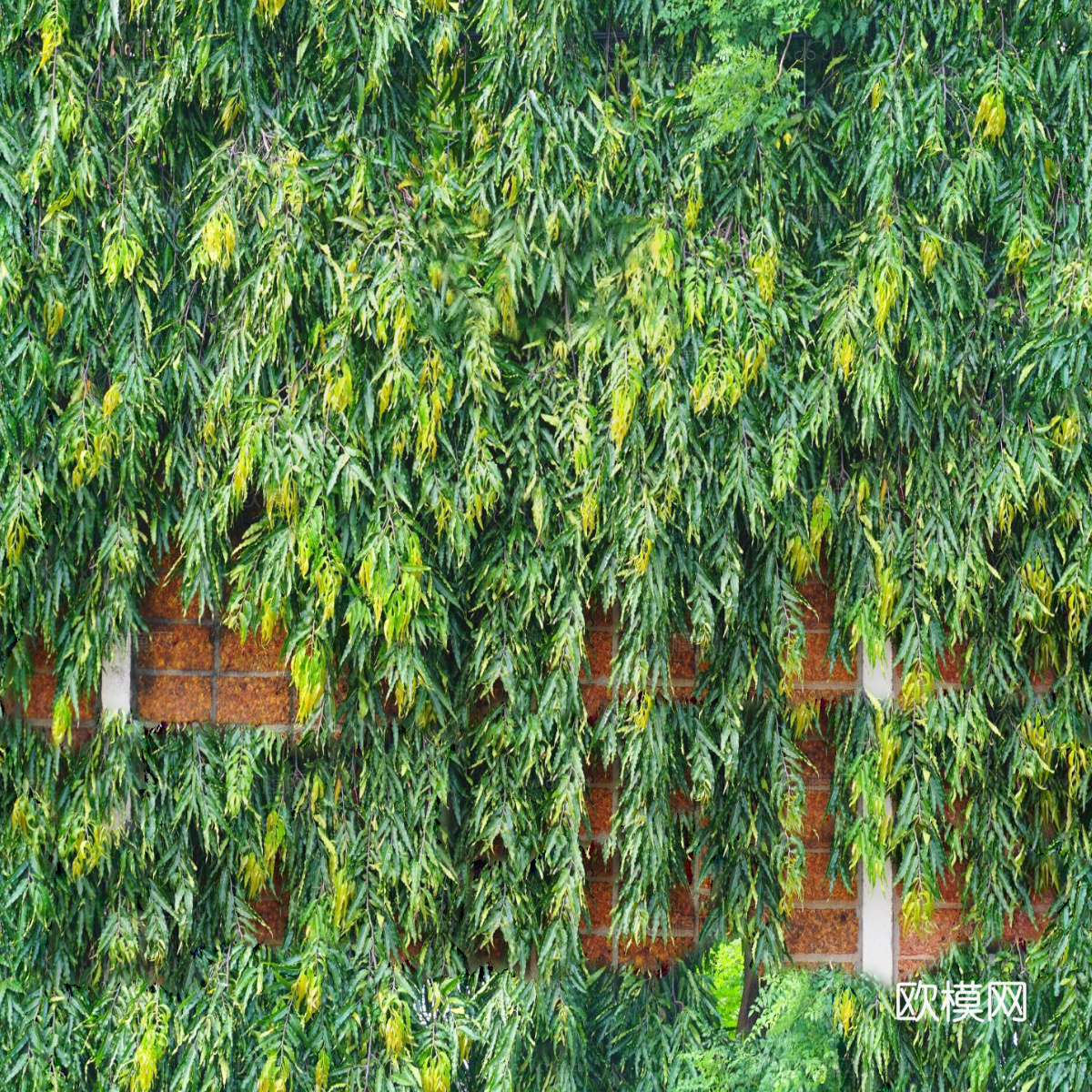 垂直绿植墙，生态绿植墙绿化墙125下载