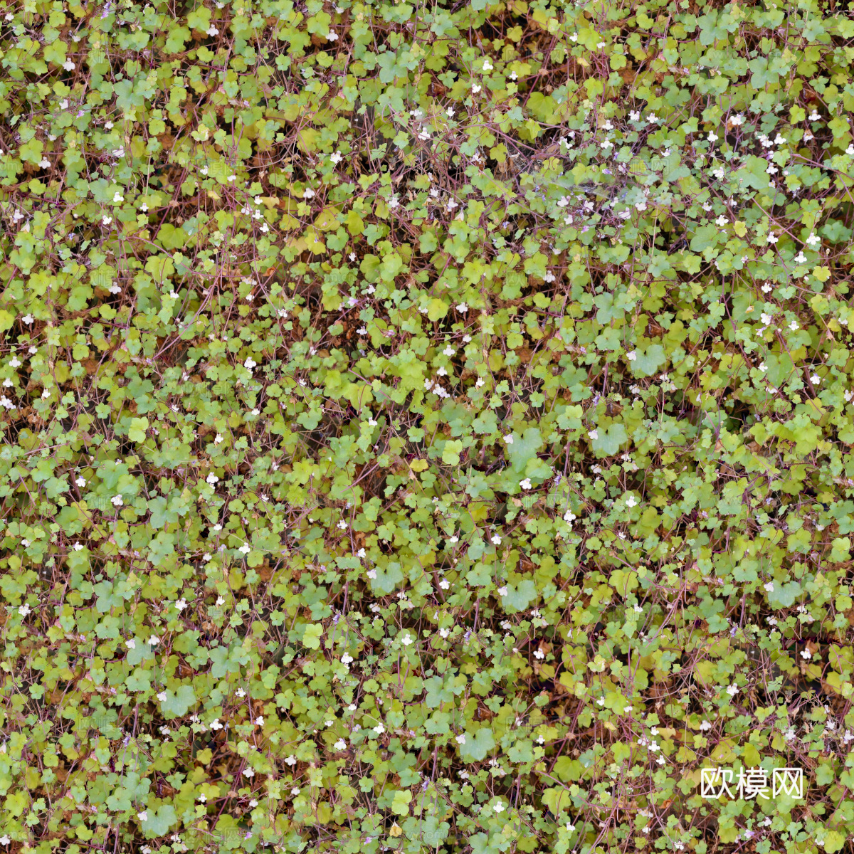 垂直绿植墙，生态绿植墙绿化墙163