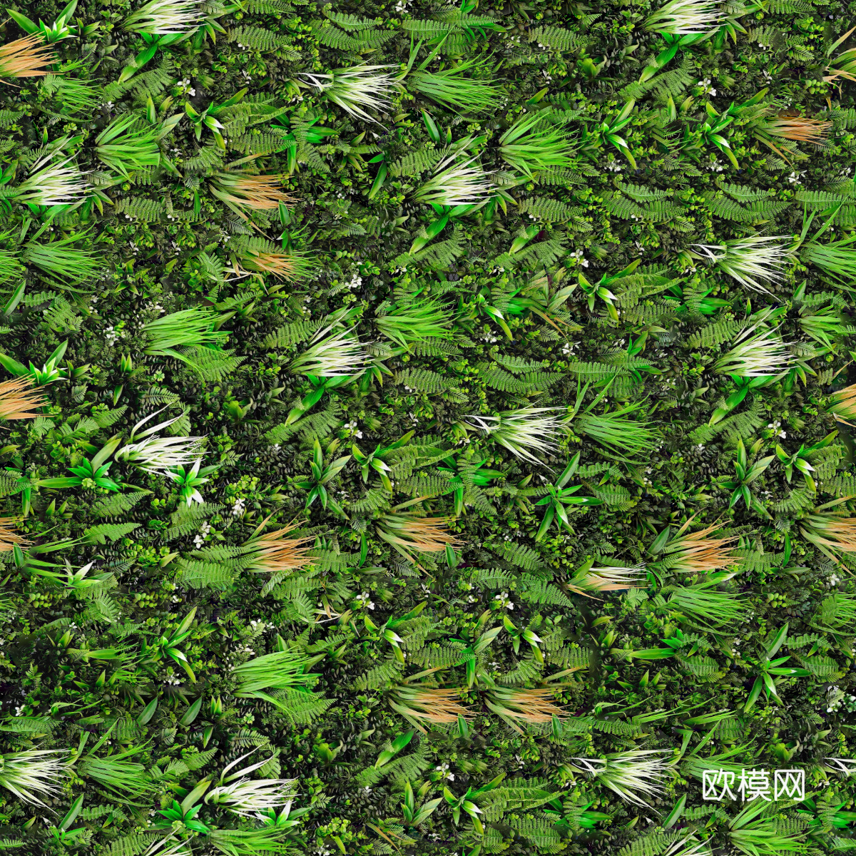 垂直绿植墙，生态绿植墙绿化墙211下载