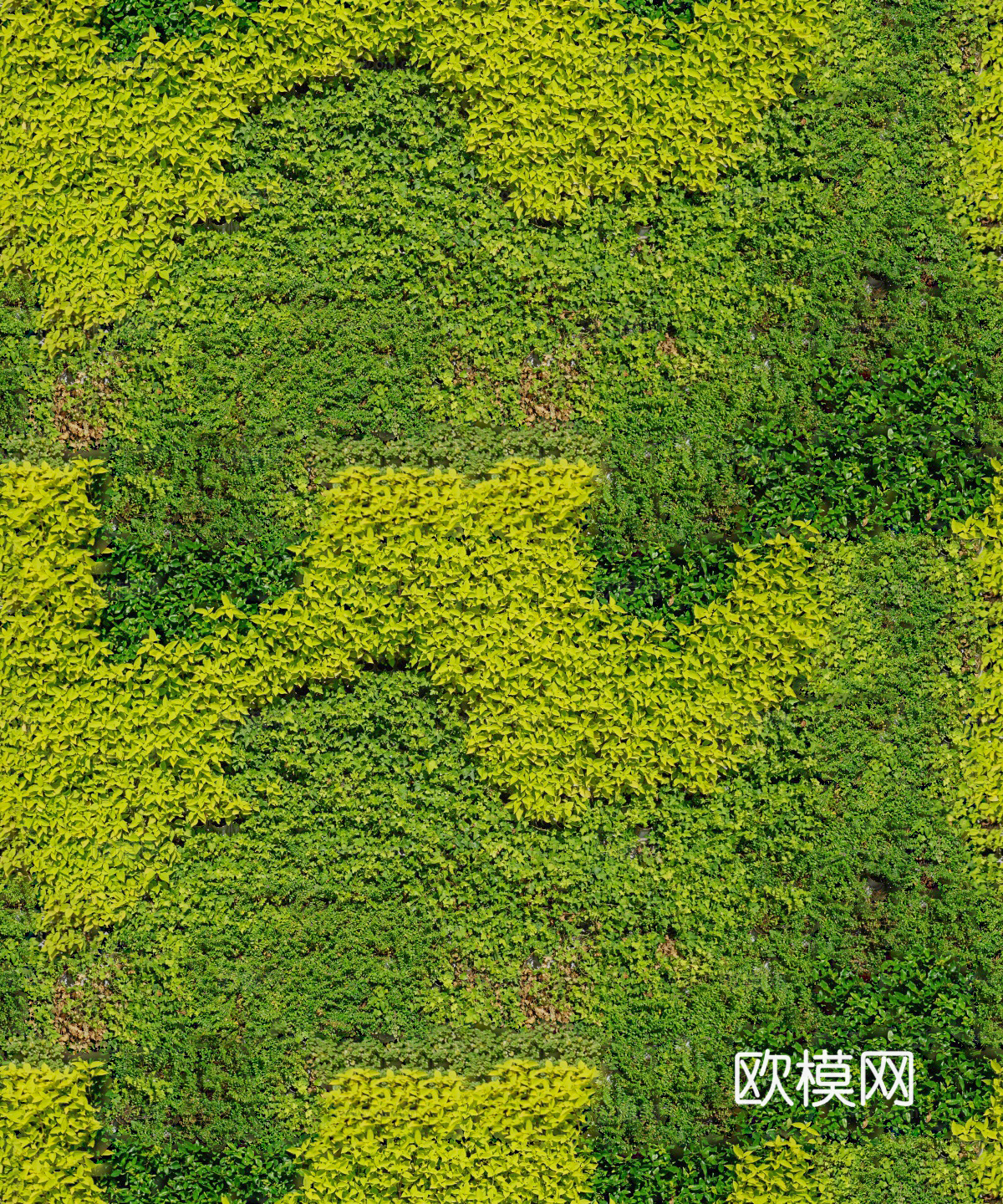 垂直绿植墙，生态绿植墙绿化墙21下载