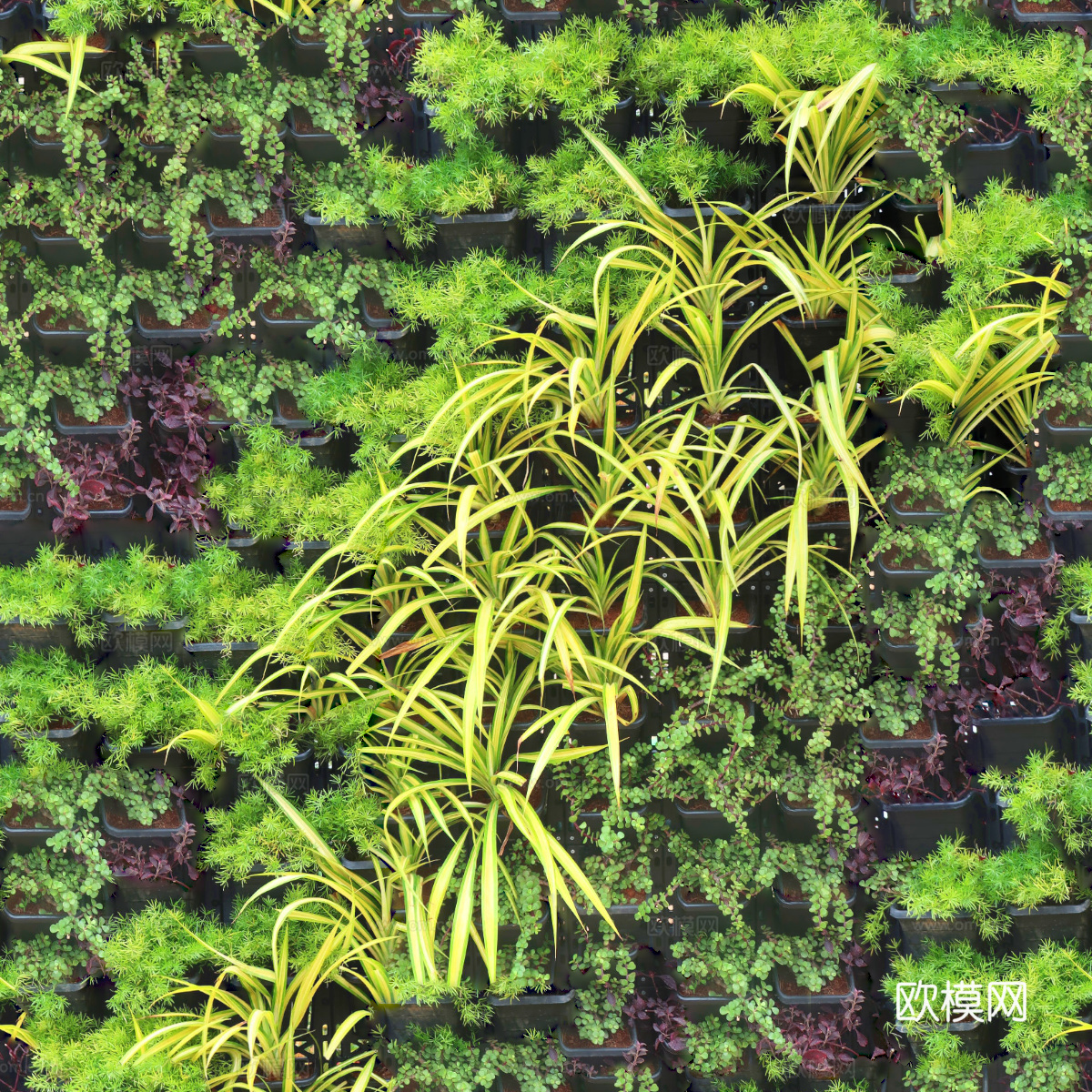 垂直绿植墙，生态绿植墙绿化墙180