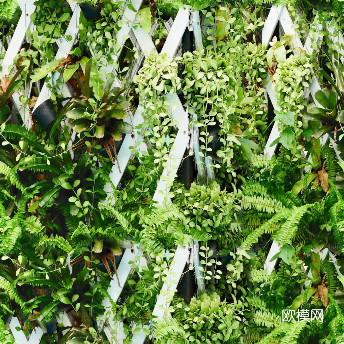 垂直绿植墙，生态绿植墙绿化墙153下载