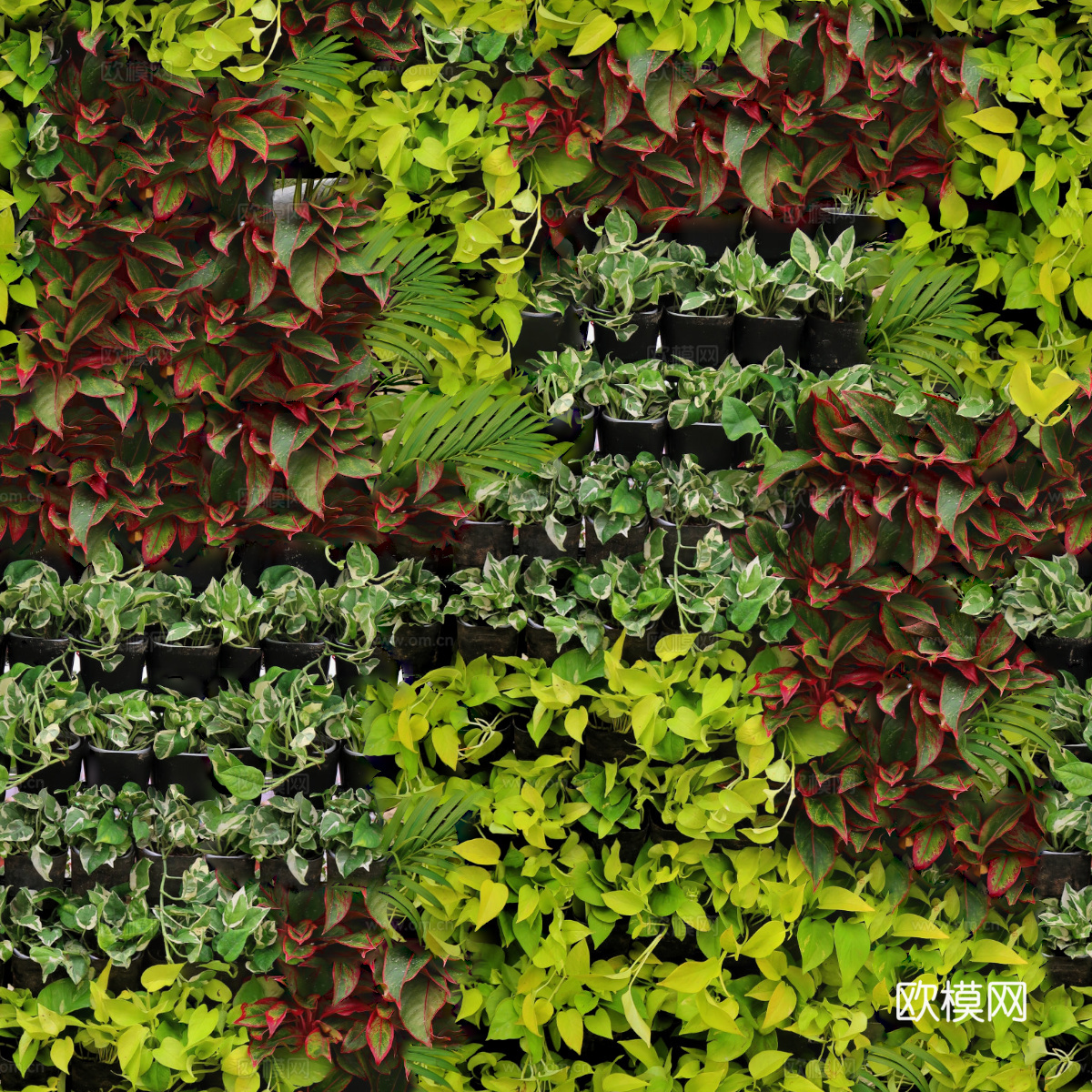 垂直绿植墙，生态绿植墙绿化墙186下载