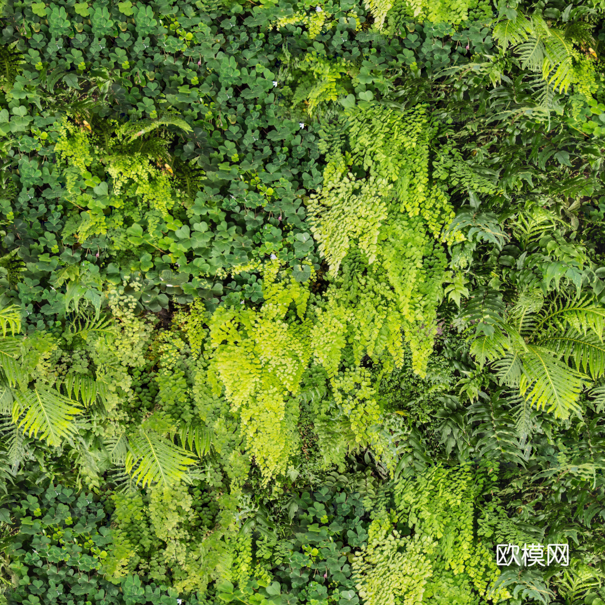 垂直绿植墙，生态绿植墙绿化墙87下载