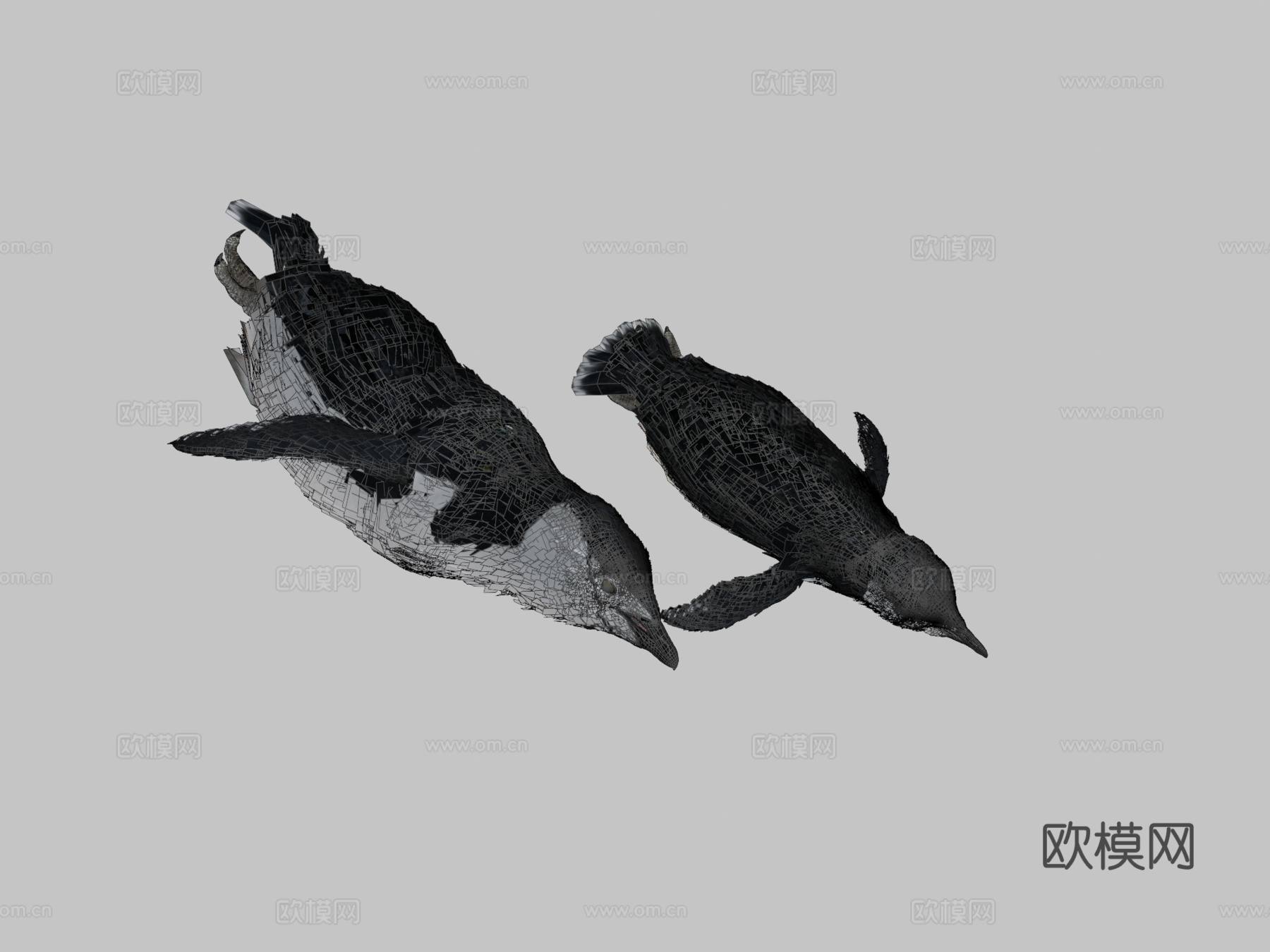 南极企鹅水下3d模型下载（渲染图2）