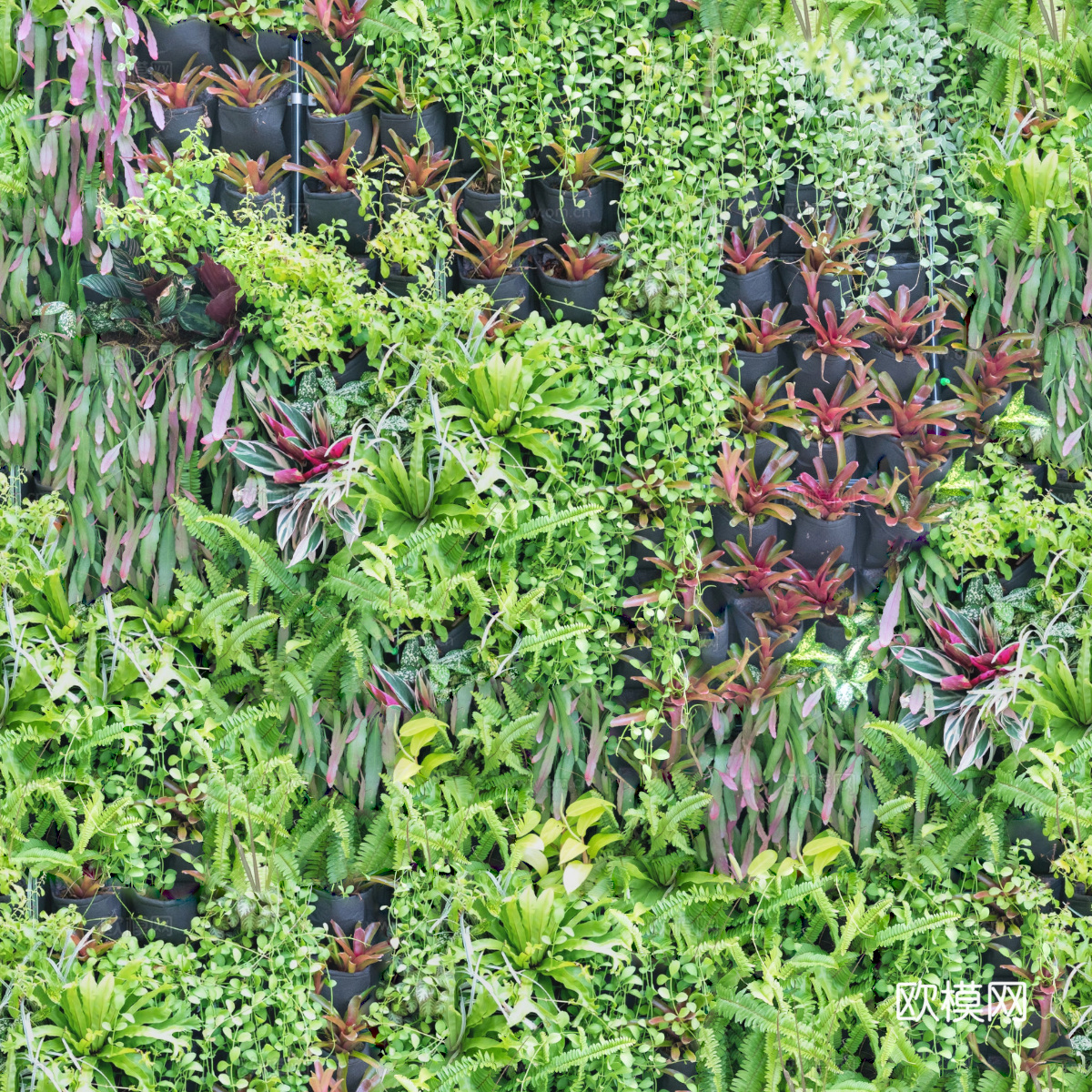 垂直绿植墙，生态绿植墙绿化墙119