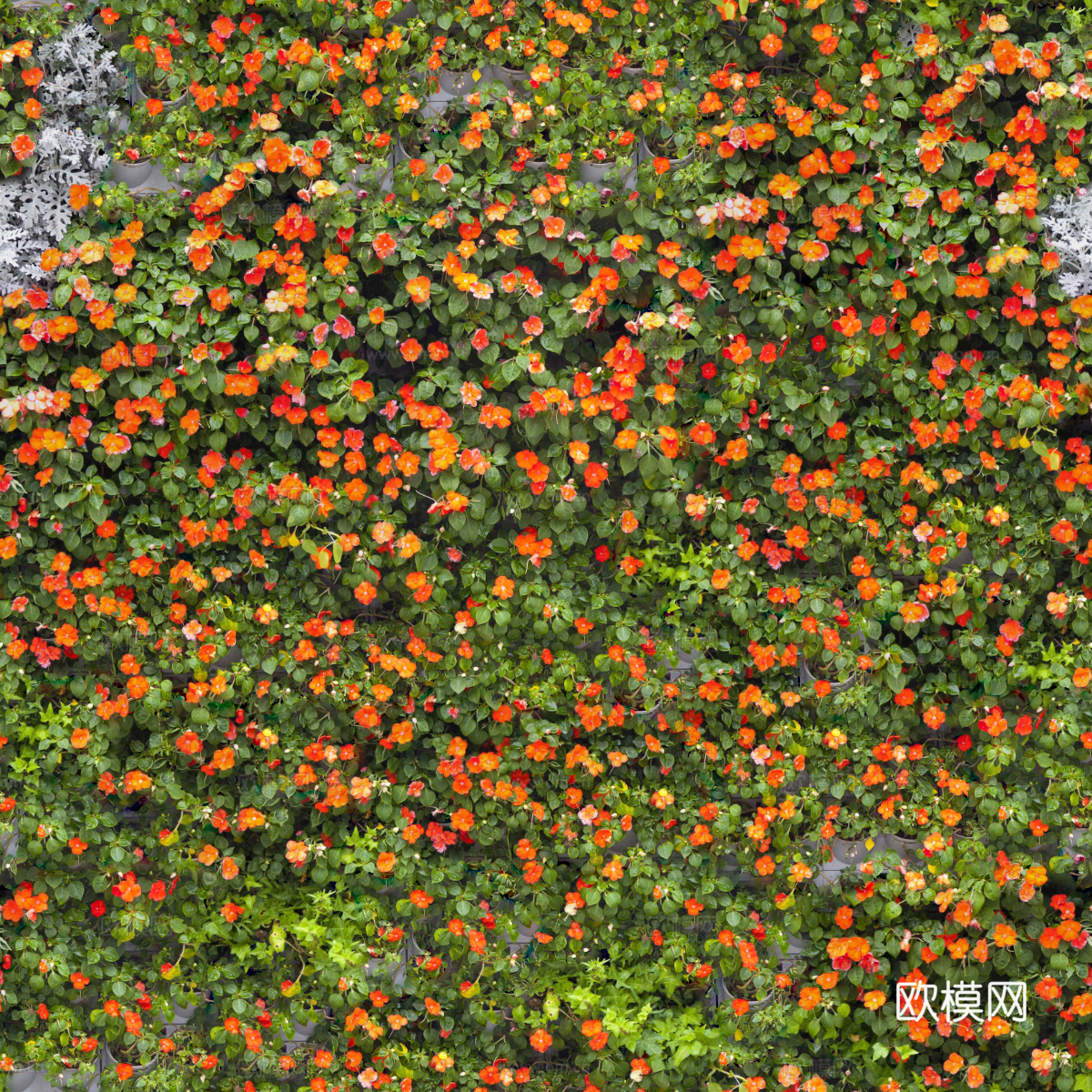 垂直绿植墙，生态绿植墙绿化墙64下载