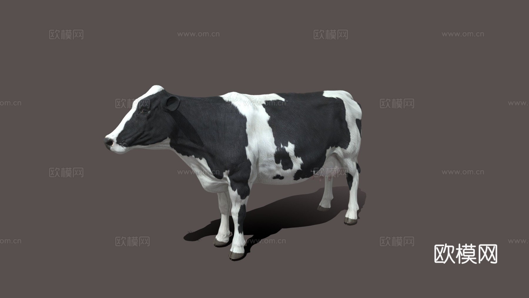 奶牛美丽动物nyilonelycompanytheappgo3d模型下载（渲染图1）