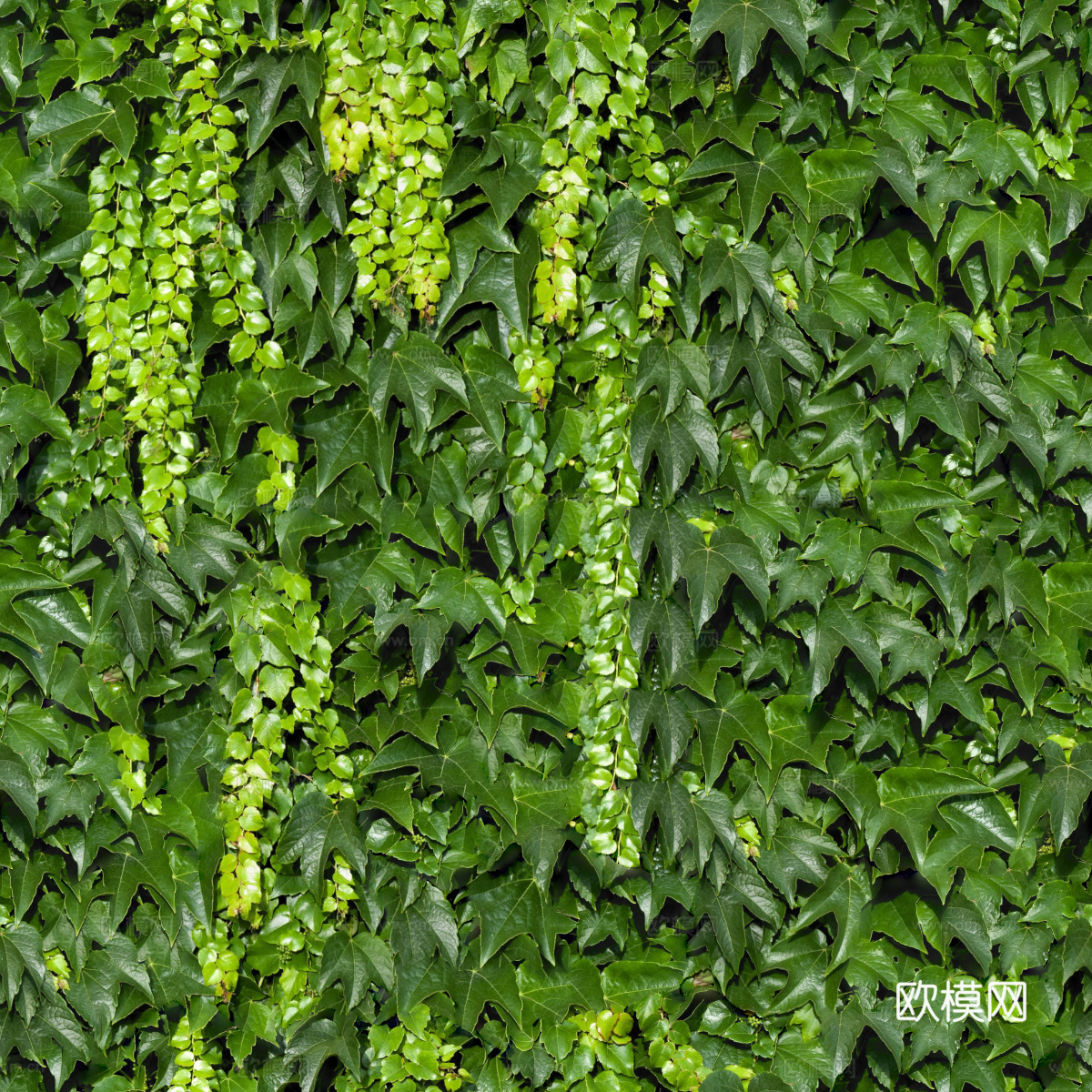 垂直绿植墙，生态绿植墙绿化墙165