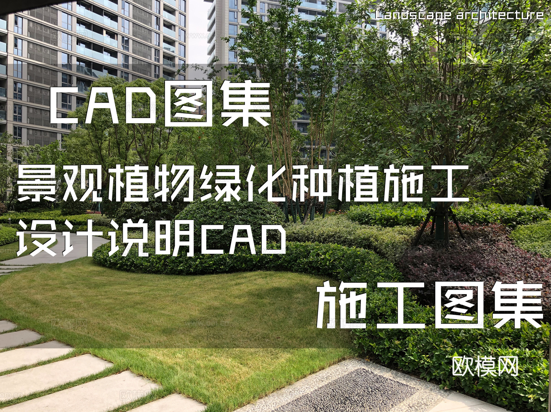 景观植物绿化种植施工设计说明CAD施工图集cad施工图