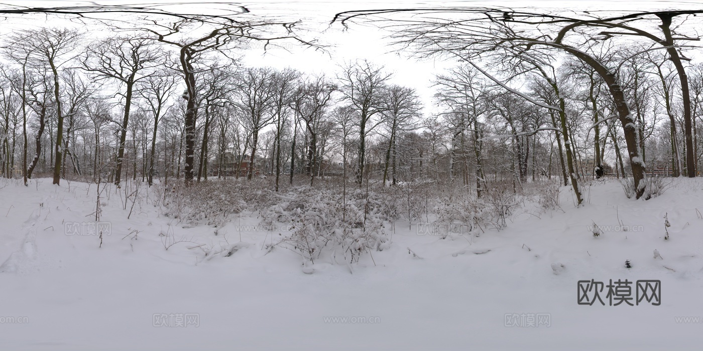 户外雪地树林阴天傍晚HDR
