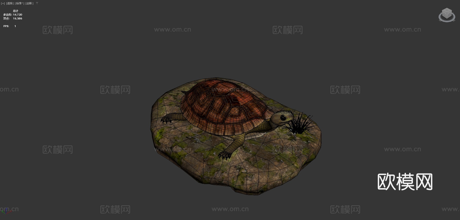 陆龟3d模型下载（渲染图4）