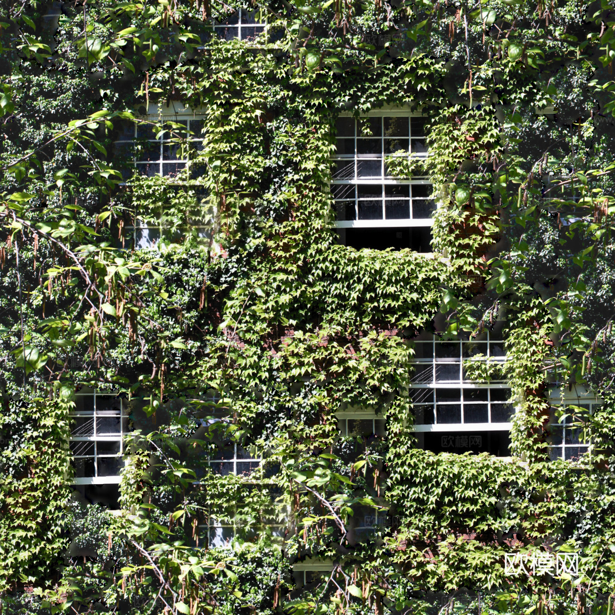垂直绿植墙，生态绿植墙绿化墙124