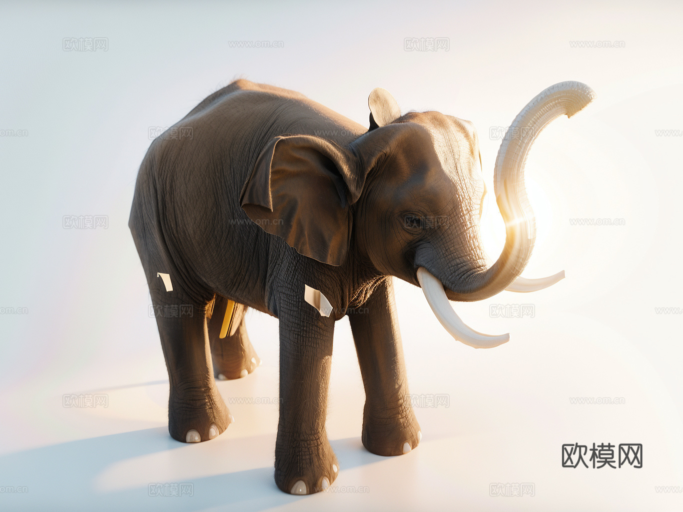 大象su模型