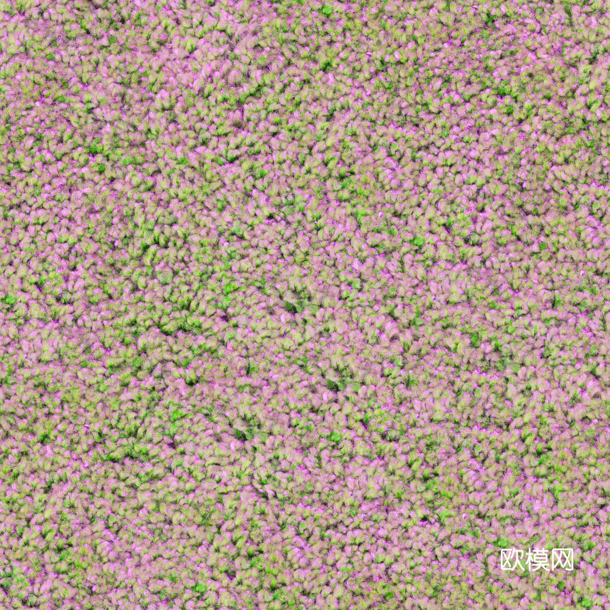 地衣，杂草，野草地6