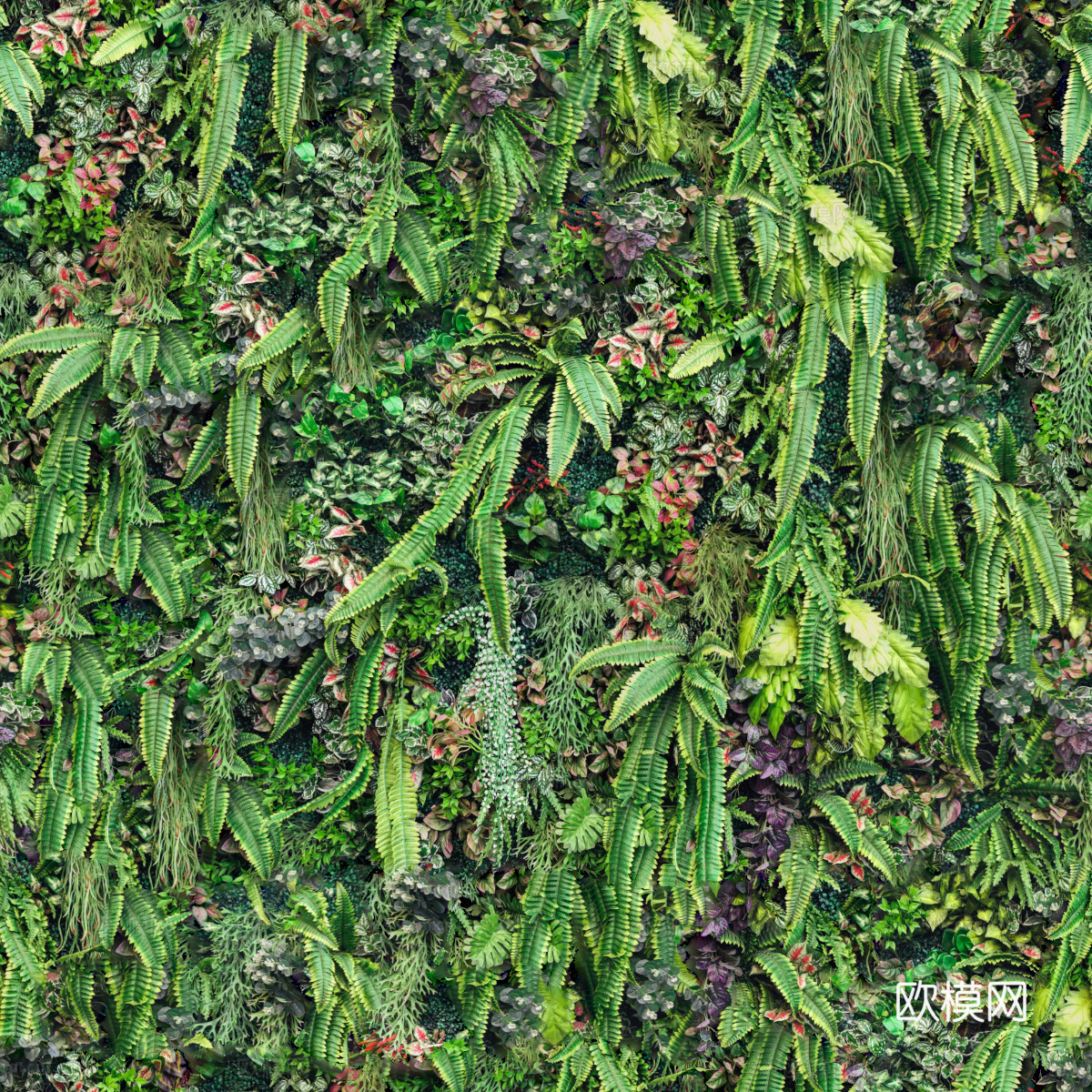 垂直绿植墙，生态绿植墙绿化墙155下载