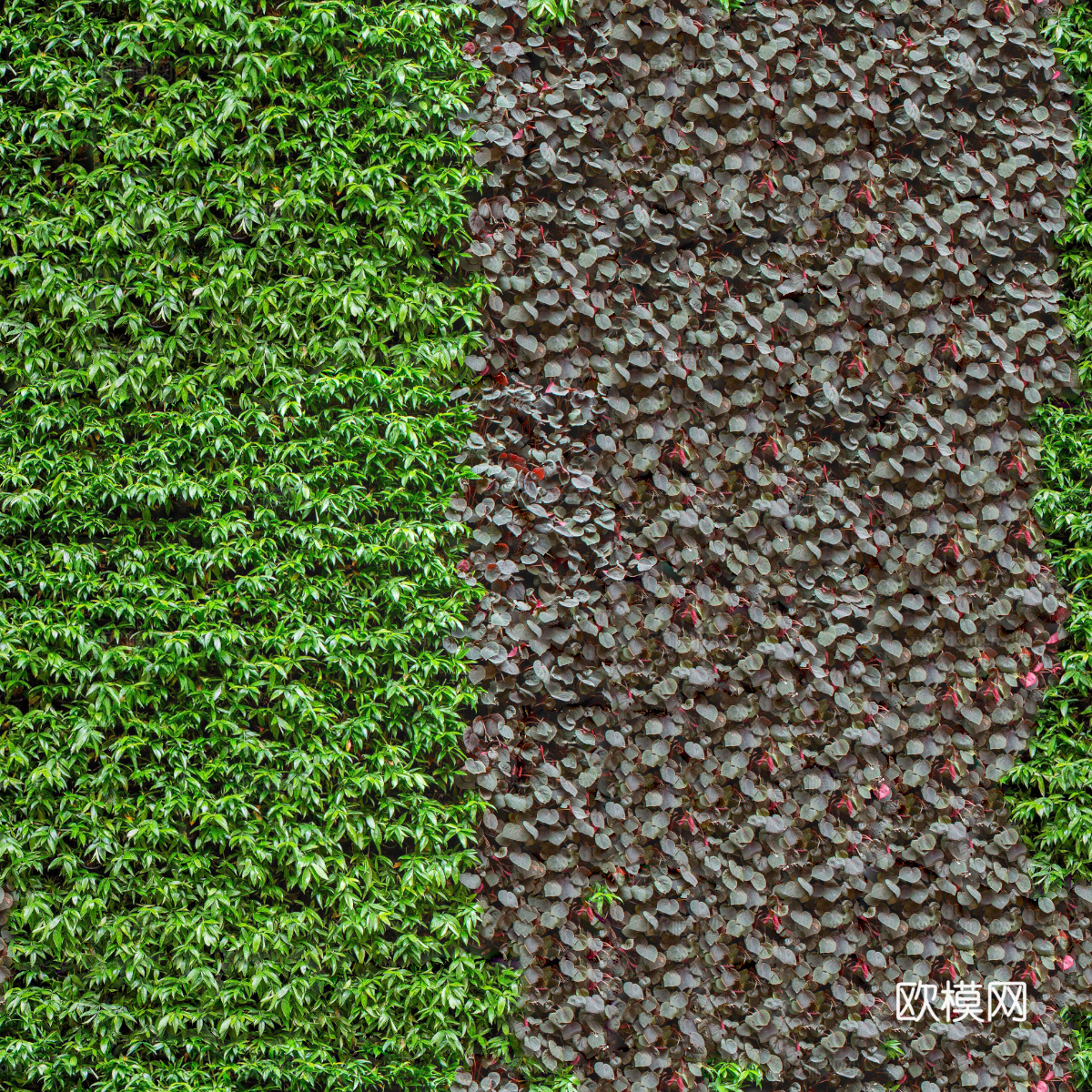 垂直绿植墙，生态绿植墙绿化墙189