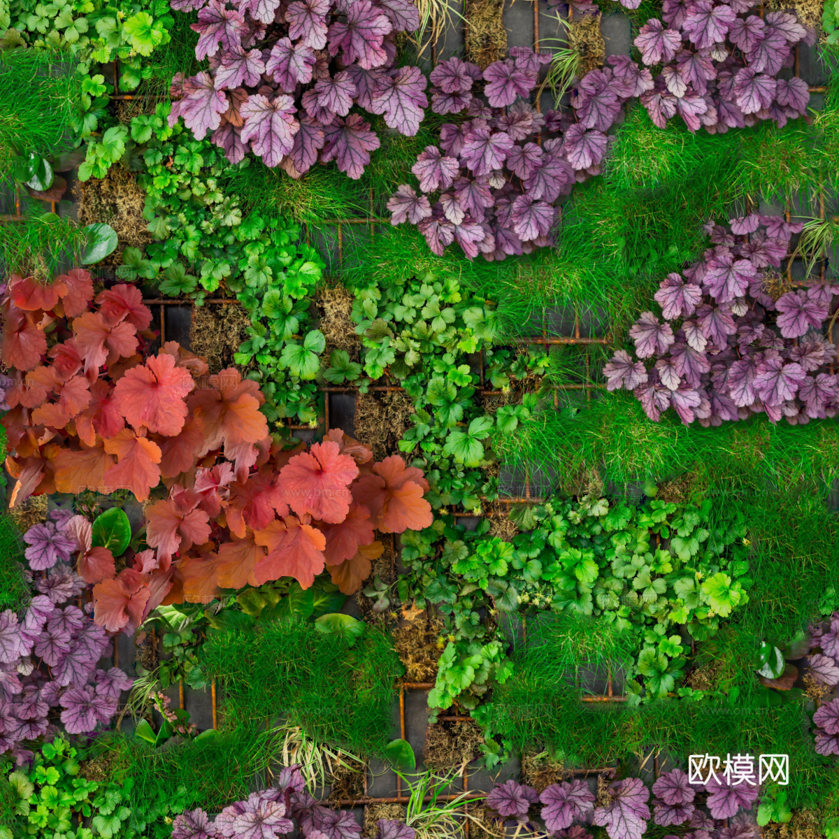 垂直绿植墙，生态绿植墙绿化墙227下载