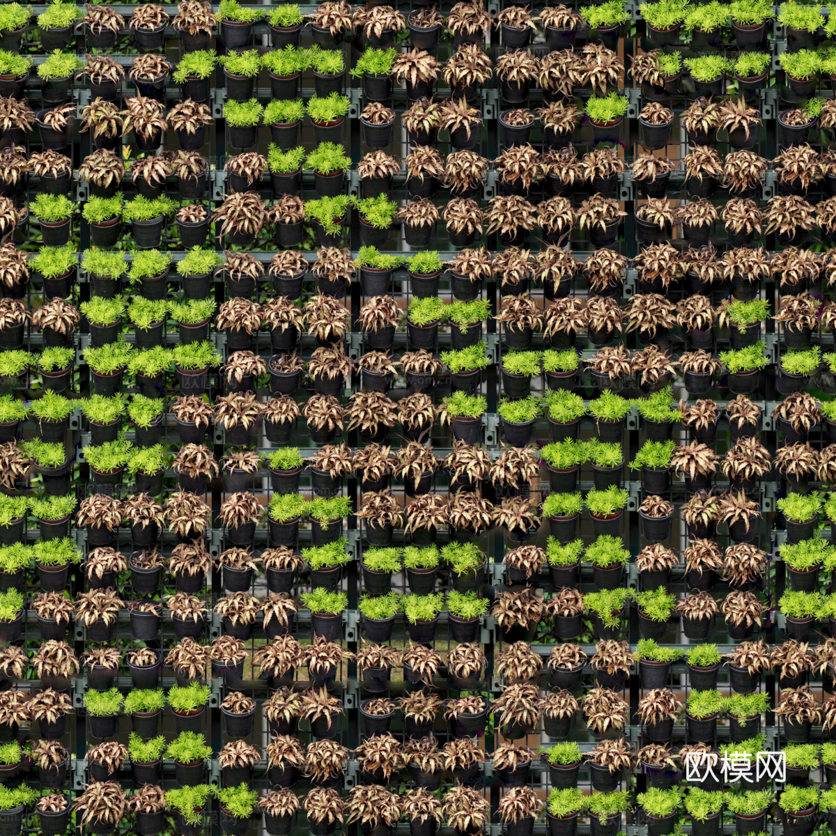 垂直绿植墙，生态绿植墙绿化墙130