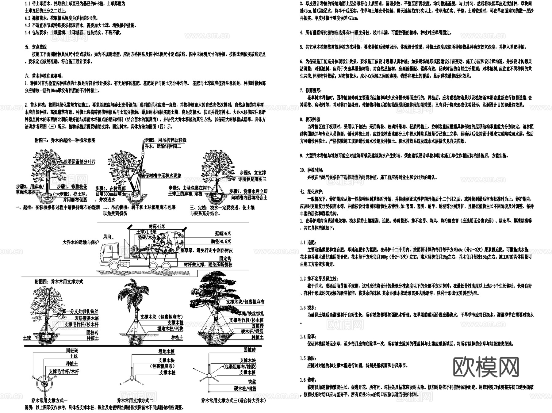 景观植物绿化种植施工设计说明CAD施工图集cad施工图