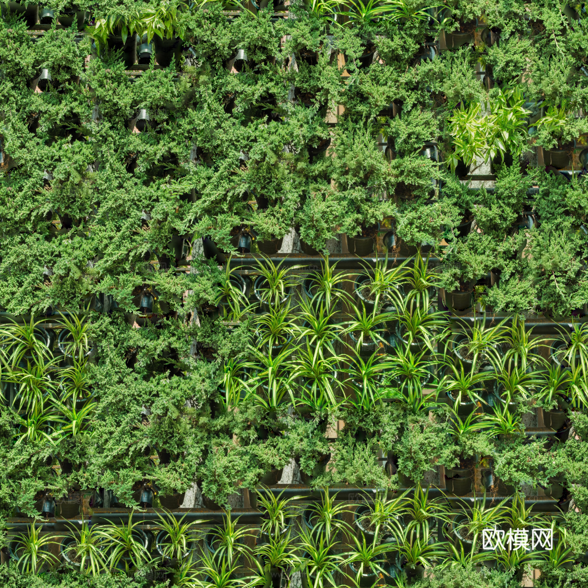 垂直绿植墙，生态绿植墙绿化墙111下载