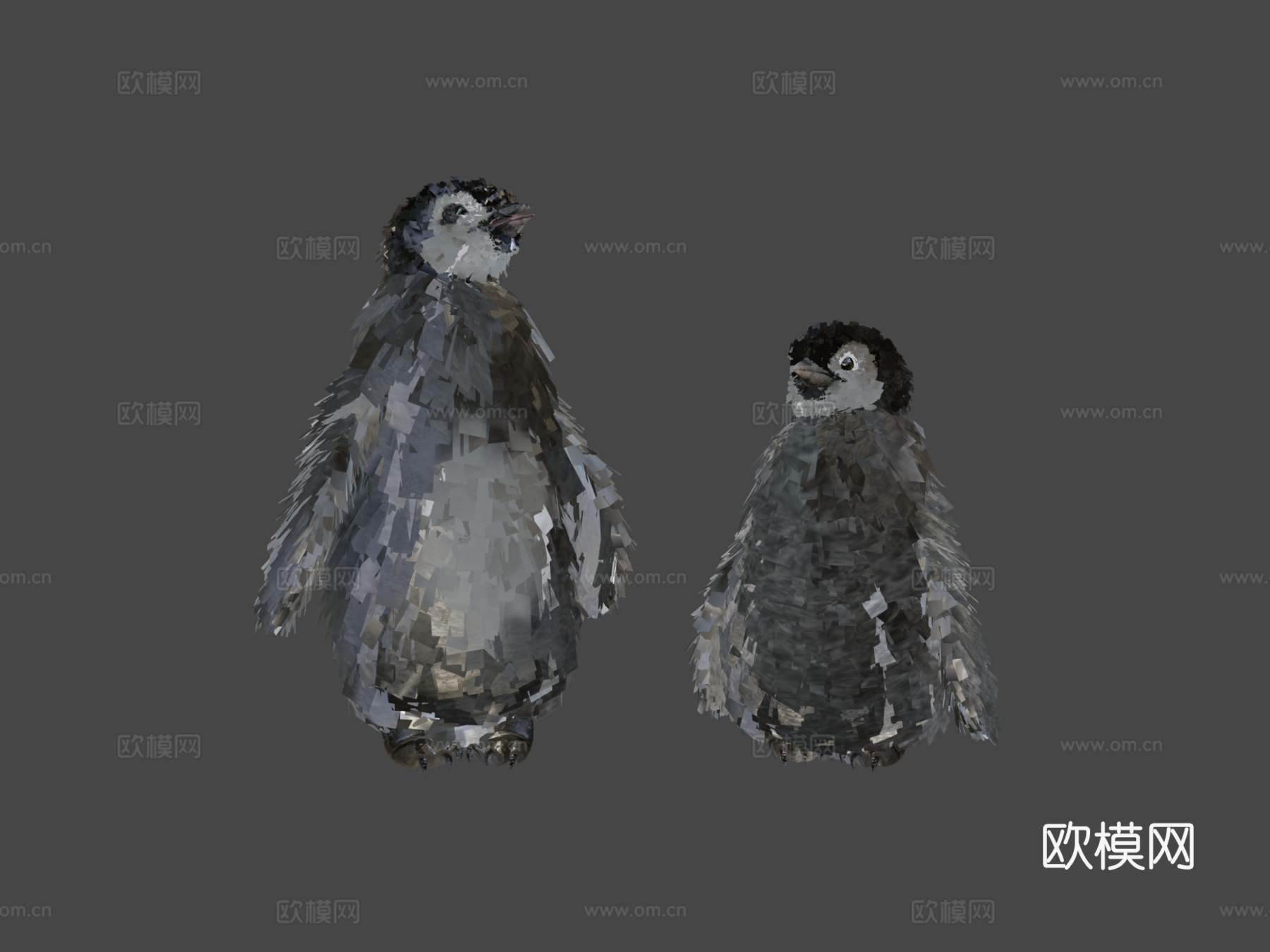 小帝企鹅幼年3d模型下载（渲染图7）