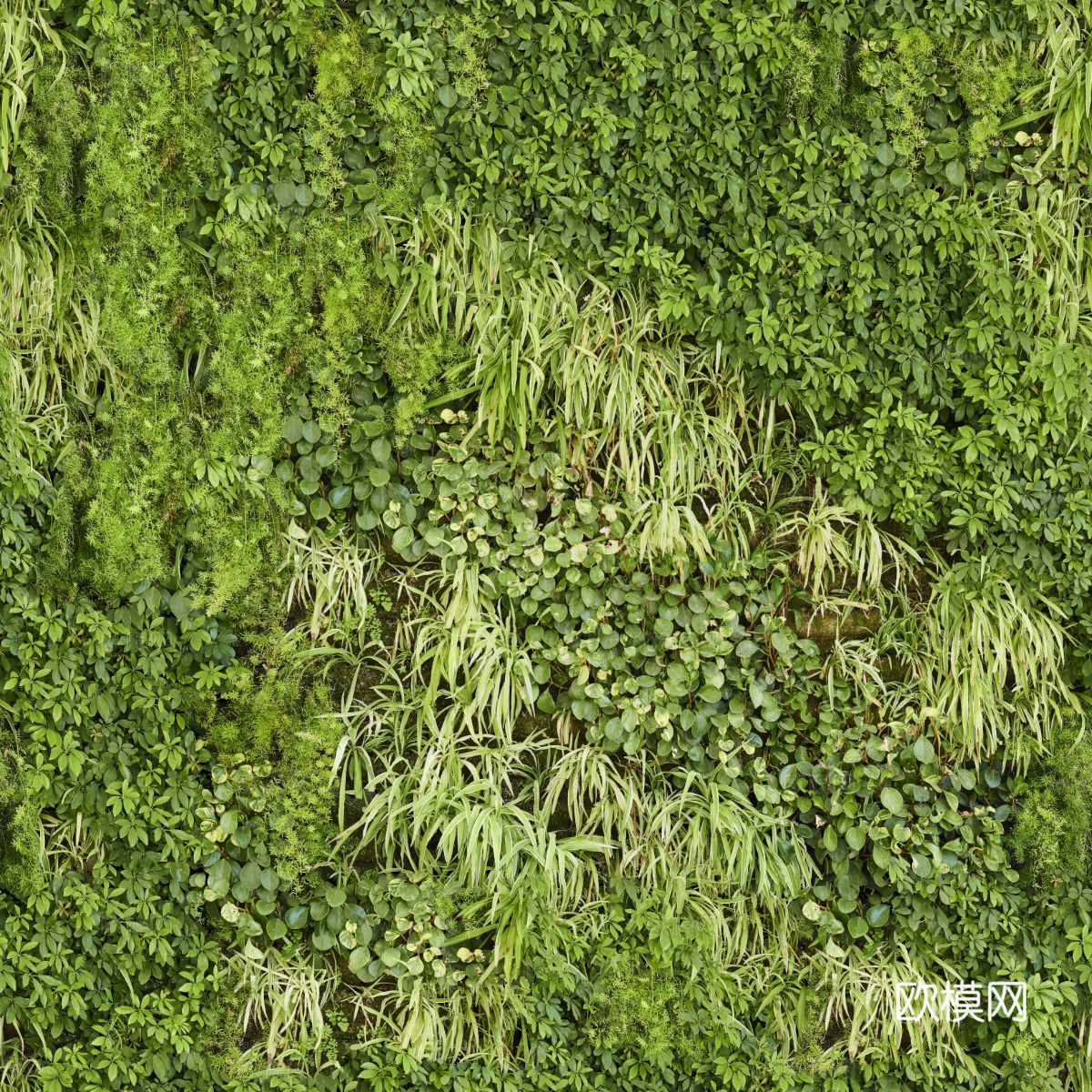垂直绿植墙，生态绿植墙绿化墙167