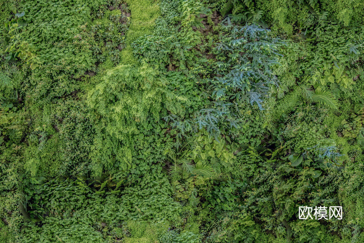 垂直绿植墙，生态绿植墙绿化墙13下载