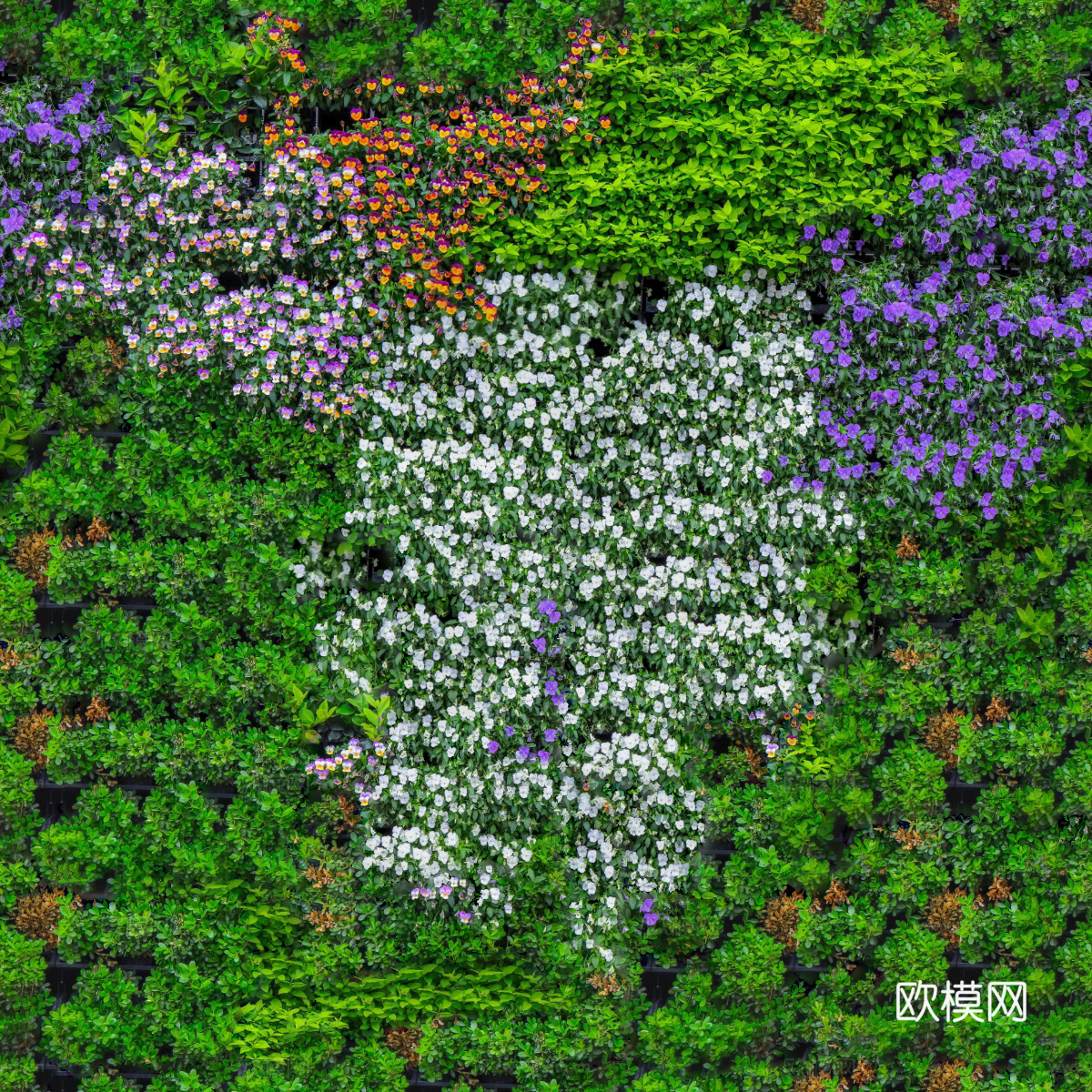 垂直绿植墙，生态绿植墙绿化墙162下载