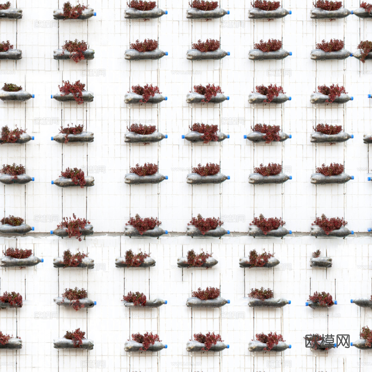 垂直绿植墙，生态绿植墙绿化墙197