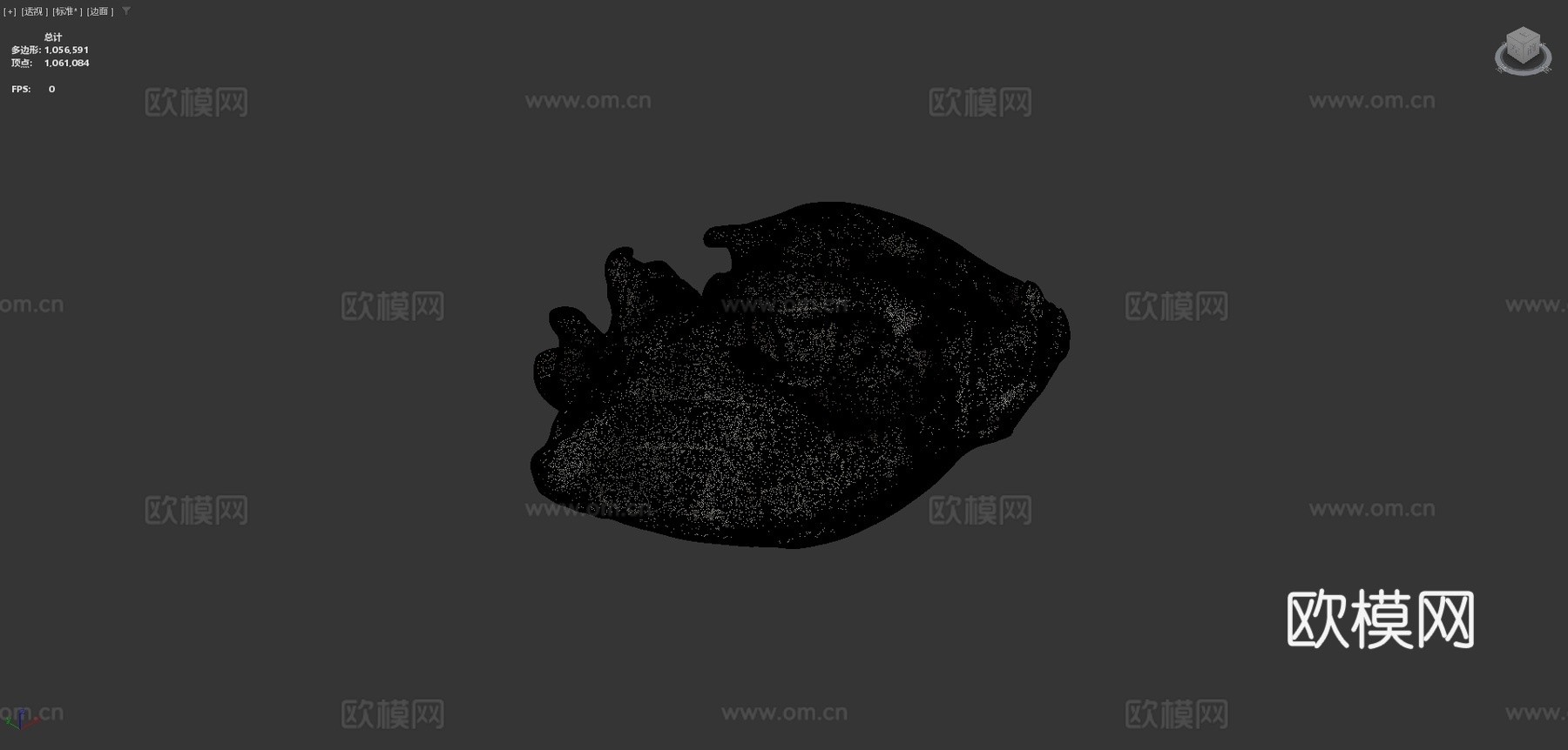 UWYMVMamm5840斑鬣狗头骨3d模型下载（渲染图4）