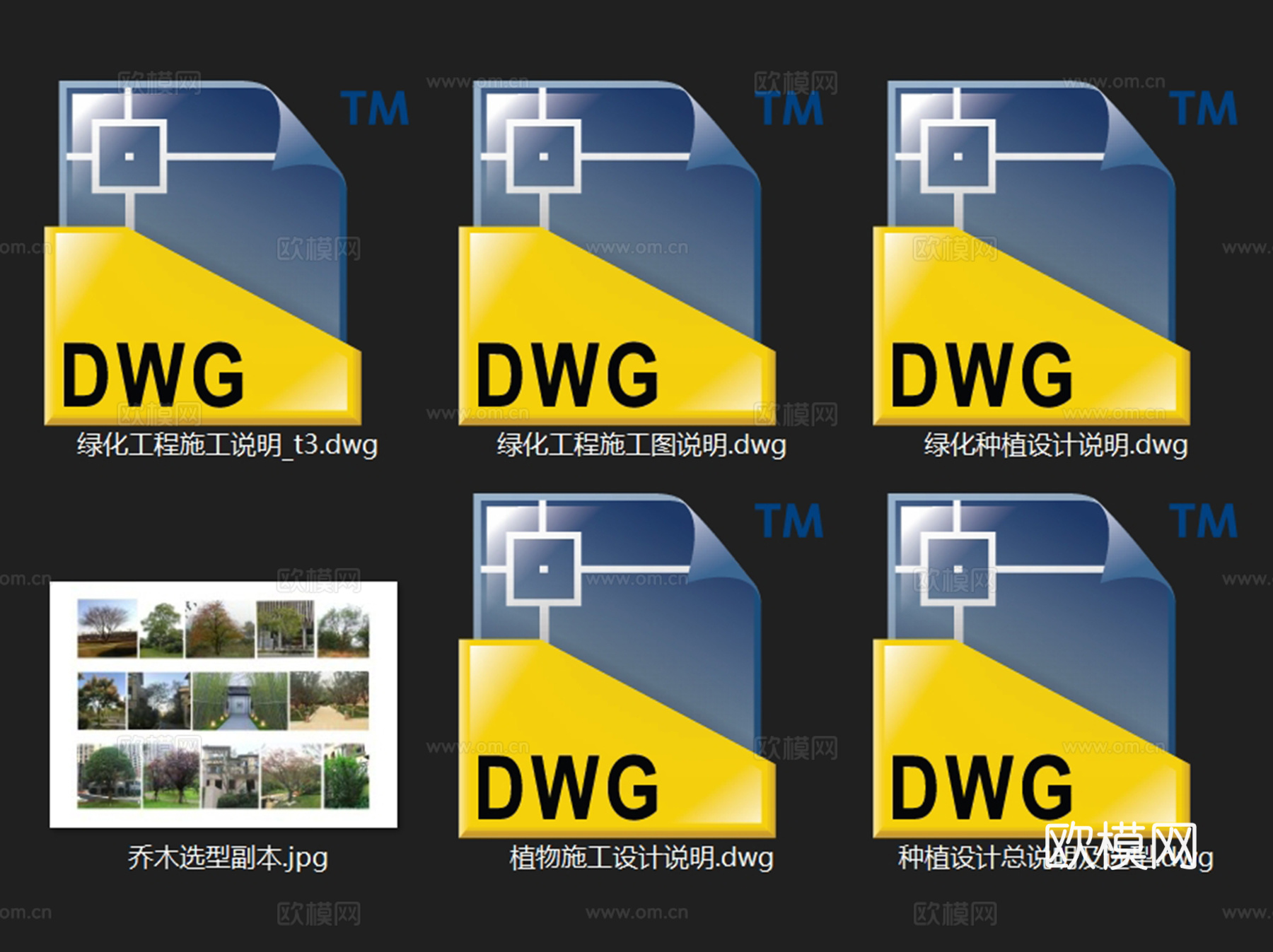 景观植物绿化种植施工设计说明CAD施工图集cad施工图