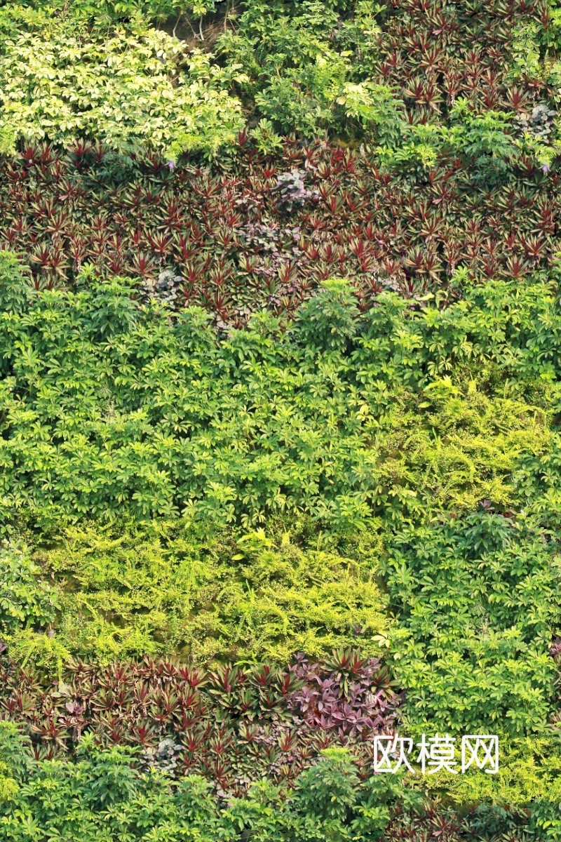 垂直绿植墙，生态绿植墙绿化墙39下载