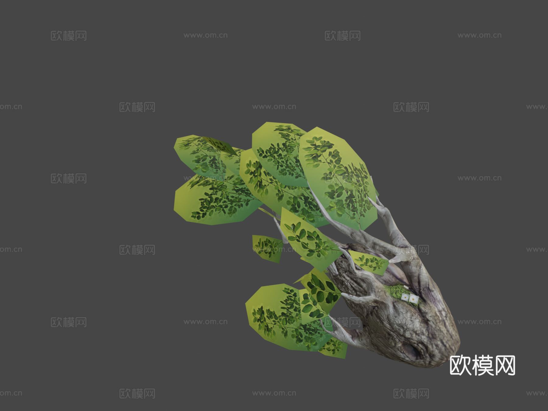 森林鱼3d模型下载（渲染图8）